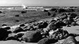 By the Shore 12